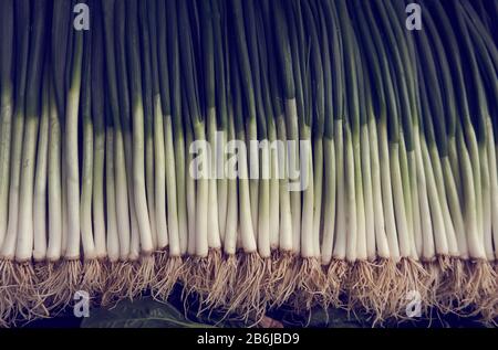 Fresh and organic scallion net to celery in the local market Stock Photo