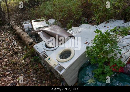 Old obsolete household washing machines and other trash dumped illegally in forest. Stock Photo