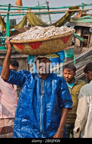 Labors are unloading different types of fish from fishing port. Fish is a great means of fighting food insecurity and climate change in Bangladesh. Stock Photo