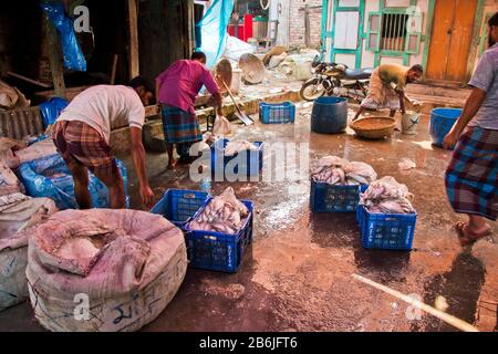 Labors are unloading different types of fish from fishing port. Fish is a great means of fighting food insecurity and climate change in Bangladesh. Stock Photo