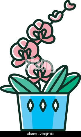 Moth orchid RGB color icon. Orchidaceae. Phalaenopsis Blume. Elegant indoor plant with pink flowers. Decorative blooming houseplant. Natural home Stock Vector