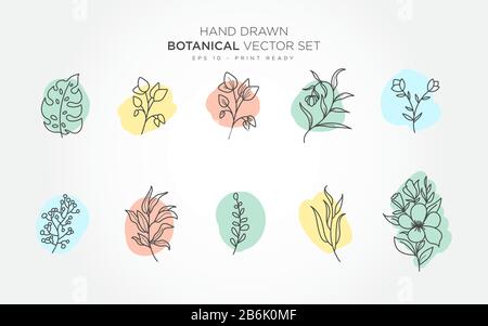 Botanical monoline elements vector set with pastel color background. Stock Vector