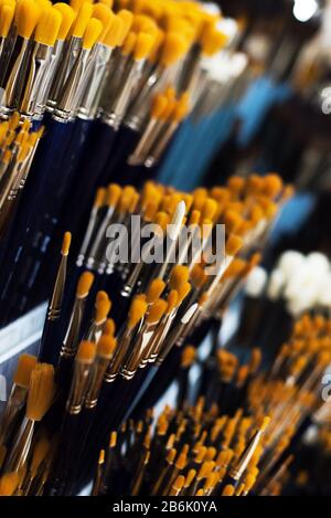 Group of artistic paintbrushes for artist. New paint brushes on shelf display in stationery shop. Art painting concept. The concept of selling tools for artists, the choice of brushes.