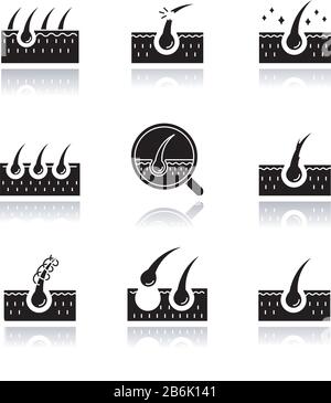 Hair loss drop shadow black glyph icons set. Damaged hair, unhealthy roots. Scalp and follicle. Skin tissue. Dermatology treatment, haircare problem Stock Vector