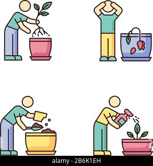 Indoor gardening stages RGB color icons set. Houseplant caring. Plant cultivation. Replanting, repotting plants. Wilting flower. Preparing soil for Stock Vector