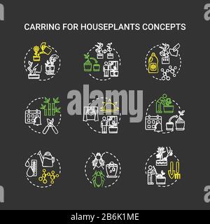 Houseplants caring chalk RGB color chalk concept icons set. Balanced fertilizer. Proper lighting. Timely repotting. Home gardening idea. Vector Stock Vector