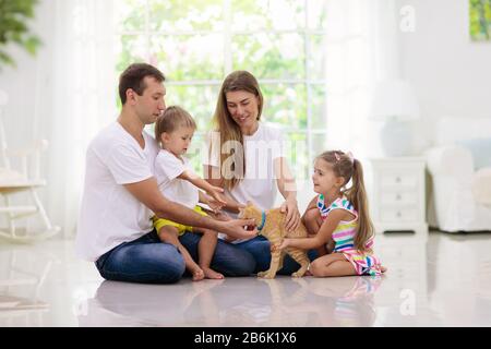Free Photo  Mother and father playing with son or daughter in rocking  chair on light room floor with kitchen set on background, happy family  spending time together, playing with baby.