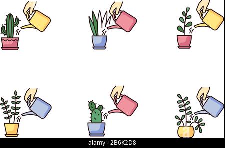 Houseplant care RGB color icons set. Indoor gardening process. Domestic plant cultivation. Watering domestic plants. Moisturizing, rehydrating soil Stock Vector