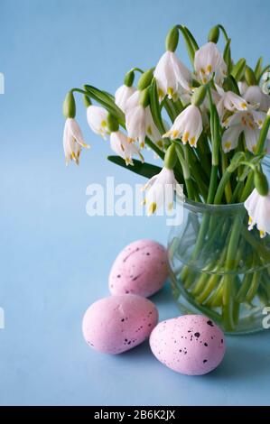 Summer Snowflake or Loddon Lily ,easter eggs Stock Photo