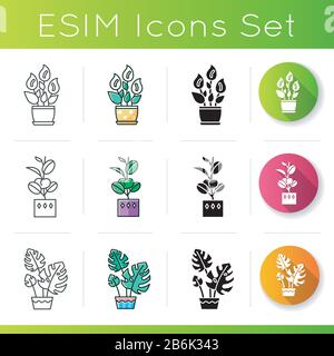 Houseplants icons set. Decorative indoor plants. Home decor. Ficus, monstera, peace lily. Linear, black and RGB color styles. Linear black and RGB Stock Vector