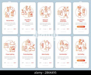 Flowers caring onboarding mobile app page screen with concepts. Greenhouse lighting. Plants growing walkthrough steps graphic instructions. UI vector Stock Vector