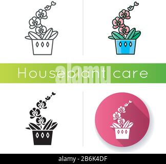 Moth orchid icon. Orchidaceae. Phalaenopsis Blume. Elegant indoor plant with pink flowers. Decorative blooming houseplant. Linear black and RGB color Stock Vector
