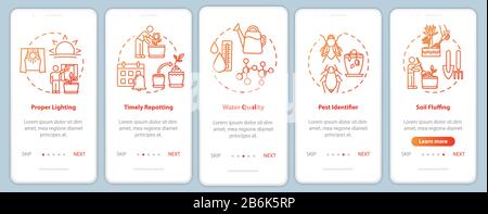 Flowers caring onboarding mobile app page screen with concepts. Regular repotting. Home gardening walkthrough five steps graphic instructions. UI Stock Vector