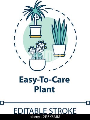 Easy to care plants concept icon. Unpretentious indoor potted flowers. Succulents and cactuses idea thin line illustration. Vector isolated outline Stock Vector