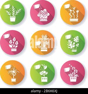 Houseplant fertilizing flat design long shadow glyph icons set. Feeding domesticated plants. Decorative plant growing process. Indoor gardening Stock Vector