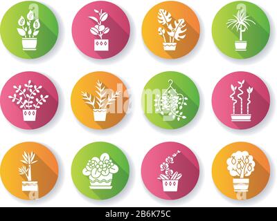 Houseplants flat design long shadow glyph icons set. Decorative indoor plants. Ficus, monstera, african violet, lucky bamboo. Peace lily, pothos Stock Vector