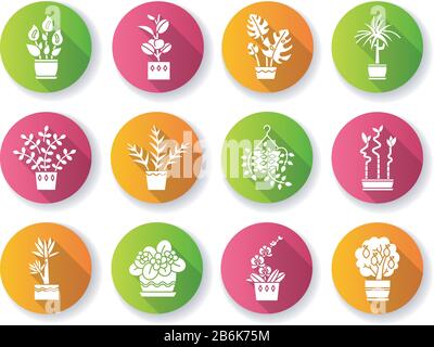 Houseplants flat design long shadow glyph icons set. Decorative indoor plants. Ficus, monstera, african violet, lucky bamboo. Peace lily, pothos Stock Vector