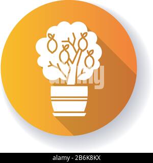 Miniature lemon tree orange flat design long shadow glyph icon. Potted citrus. Indoor plant with yellow fruit. Decorative fruiting houseplant. Natural Stock Vector