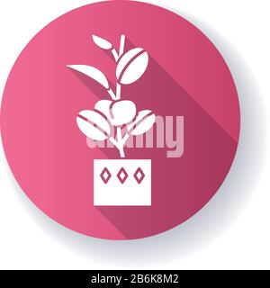 Ficus elastica pink flat design long shadow glyph icon. Rubber fig. Indian tree. Potted indoor plant with oval leaves. Decorative leafy houseplant Stock Vector