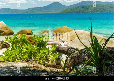 View across blue-green, crystal, clear waters of the Pacific Ocean from the Nudey Beach shoreline vegetation interspersed with round beach boulders. Stock Photo