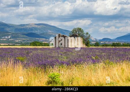 Ruins of an old rustic stone house on a lavender field against the backdrop of mountains and a beautiful sky with clouds. Stock Photo