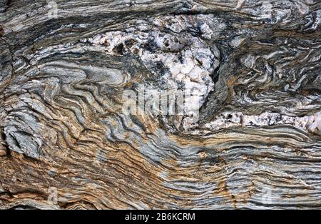 Highly deformed rocks with complex folding at Trearddur Bay near Holyhead, Anglesey, Wales Stock Photo