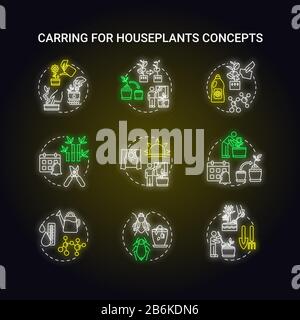 Houseplants caring neon light concept icons set. Balanced fertilizer. Proper lighting. Timely repotting. Home gardening idea. Glowing vector isolated Stock Vector