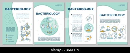 Bacteriology brochure template. Lab research, microbiology Flyer, booklet, leaflet print, cover design with linear icons. Vector layouts for magazines Stock Vector