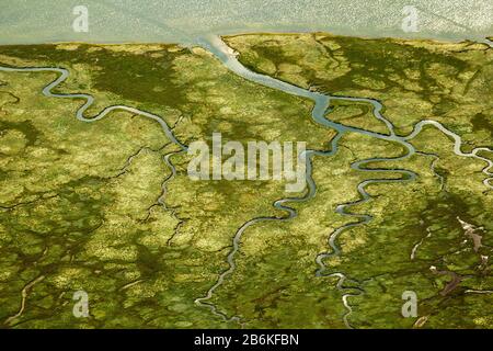 Ostheller- landscape and salt marshes in the Wadden Sea prils Norderney island as part of the East Frisian Islands, aerial view, 27.08.2014, Germany, Lower Saxony, Norderney, East Frisia Stock Photo