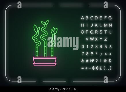 Lucky bamboo stems in pot neon light icon. Dracaena sanderiana. Indoor  plant. Feng shui. Outer glowing effect. Sign with alphabet, numbers and  symbols Stock Vector Image & Art - Alamy