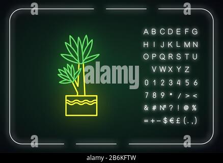 Yucca neon light icon. Small exotic indoor palm. Mexican tree. Houseplant with pointed leaves. Outer glowing effect. Sign with alphabet, numbers and Stock Vector