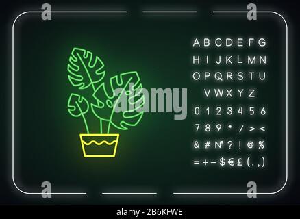 Monstera deliciosa neon light icon. Swiss cheese plant. Philodendron. Indoor tropical plant. Outer glowing effect. Sign with alphabet, numbers and Stock Vector