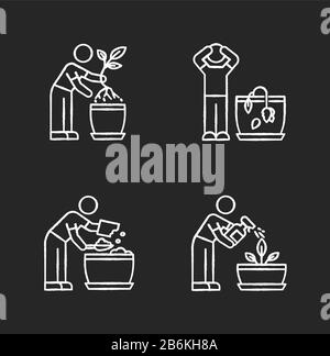 Indoor gardening stages chalk white icons set on black background. Plant cultivation. Replanting, repotting plant. Wilting flower. Preparing soil for Stock Vector