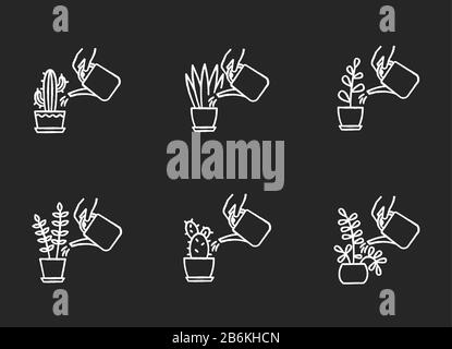 Houseplant care chalk white icons set on black background. Indoor gardening. Watering domestic plants. Moisturizing, rehydrating soil. Moistening Stock Vector