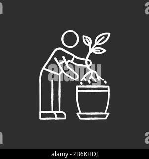 Replanting chalk white icon on black background. Transplanting, repotting. Indoor gardening. Plant growing. Potting plants, changing planter. Planting Stock Vector