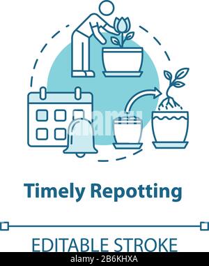Timely repotting concept icon. Indoor flowers caring. Houseplants concern. Regular replanting herbs idea thin line illustration. Vector isolated Stock Vector