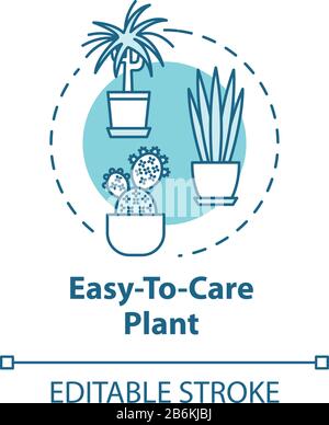 Easy to care plants concept icon. Succulents and cactuses idea thin line illustration. Unpretentious indoor potted flowers. Vector isolated outline Stock Vector