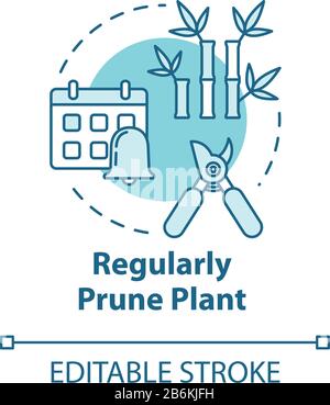 Regular prune plant concept icon. Cutting off dead branches or stems idea thin line illustration. Home potted flower caring. Vector isolated outline Stock Vector