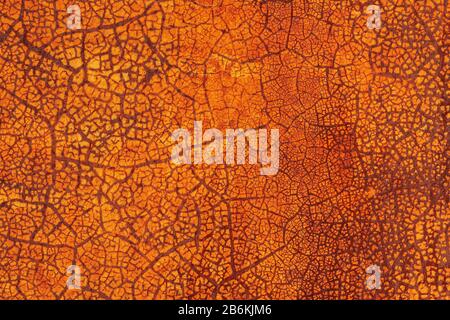 The surface of a rusty sheet of metal with peeling cracked old paint. Abstract trendy modern red grunge texture background Stock Photo