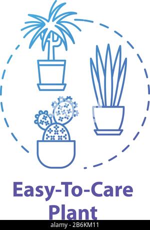 Easy to care plants concept icon. Unpretentious indoor potted flowers. Succulents and cactuses idea thin line illustration. Vector isolated outline Stock Vector