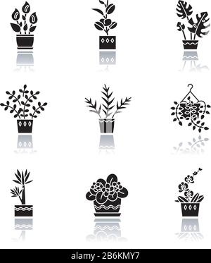 Spraying domesticated plants drop shadow black glyph icons set. Houseplant caring. Indoor gardening. Watering miniature trees and flowering plants Stock Vector