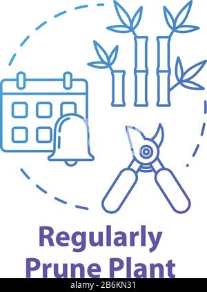 Regular prune plant concept icon. Home potted flower caring. Cutting off dead branches or stems idea thin line illustration. Vector isolated outline Stock Vector