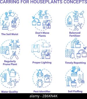 Houseplants caring concept icons set. Proper lighting. Balanced fertilizer. Timely repotting. Home gardening idea thin line RGB color illustrations Stock Vector