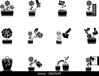 Houseplant care black glyph icons set on white space. Domestic plant cultivation. Repotting, spraying plants. Planting seeds. Watering, fertilizing Stock Vector