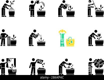 Houseplant care black glyph icons set on white space. Domestic plant cultivation. Repotting, fertilizing. Planting flower seeds. Watering, spraying Stock Vector