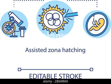 Assisted zona hatching concept icon. Fetus development. In vitro reproduction. Alternative pregnancy idea thin line illustration. Vector isolated Stock Vector