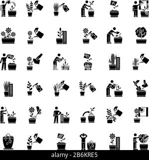 Houseplant care black glyph icons set on white space. Indoor gardening stages. Repotting, replanting. Planting seeds. Watering, soil fluffing Stock Vector