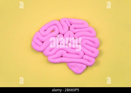 Model of pink human brain on yellow background. Profile view, flat lay. Intelligence concept. Stock Photo