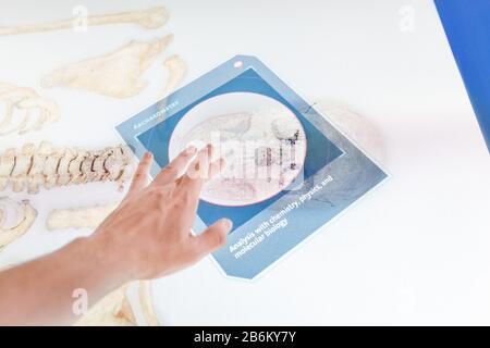 Medical technologies of the future - the operator analyzes computer diagnostics of X-ray and other scanning instruments on computer equipment Stock Photo