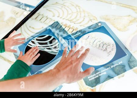 Father with son studying the skeleton and anatomy on the electronic board in an interactive classroom, the concept of modern education Stock Photo